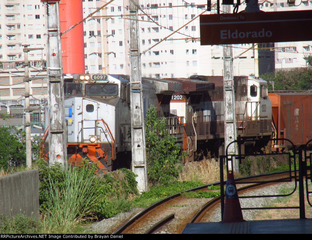VLI 6097